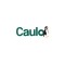 CAULO